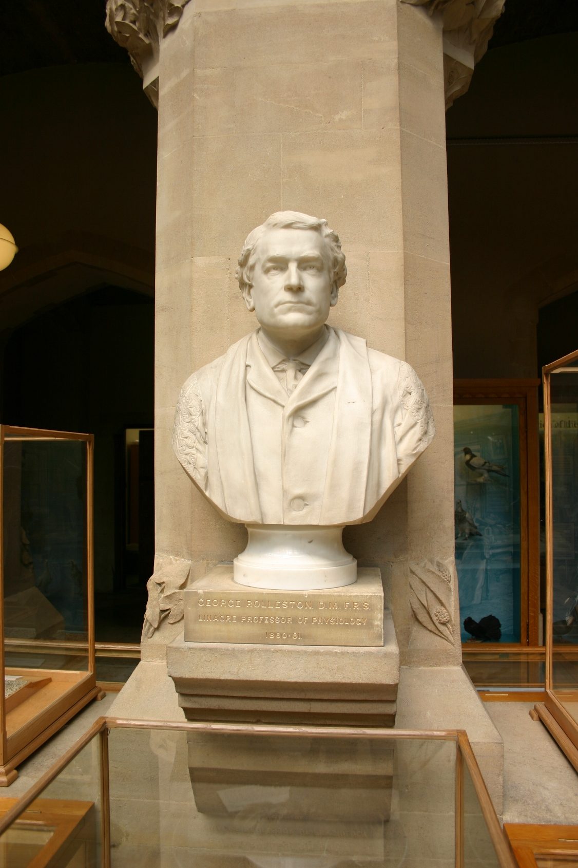George Rolleston's bust, Oxford University Museum of Natural History, Oxford (2).JPG